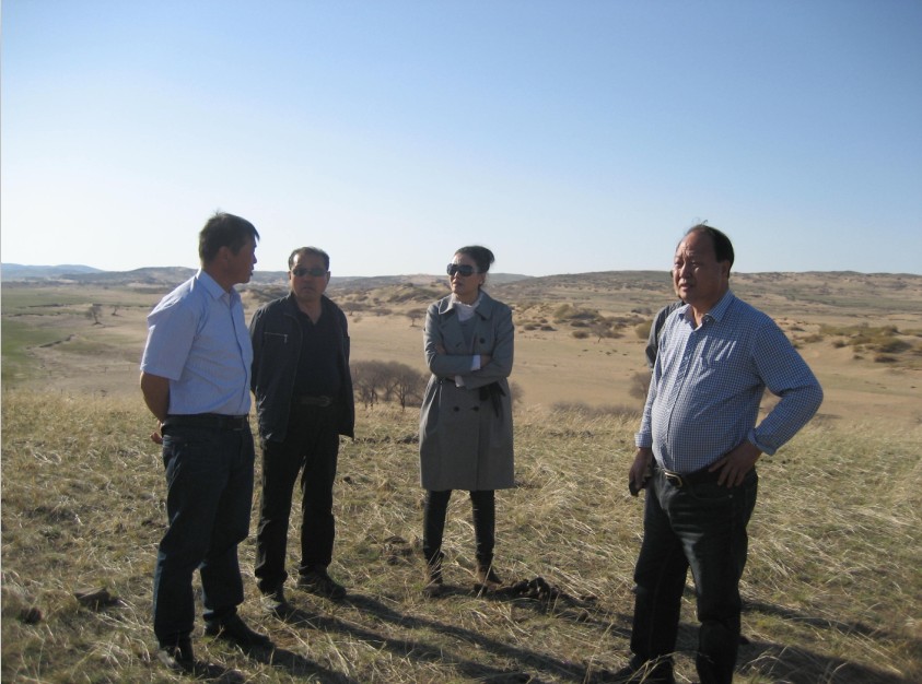 發(fā)揮資源優(yōu)勢，提高產(chǎn)業(yè)鏈競爭力——協(xié)會(huì )為企業(yè)間的合作搭建平臺